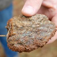 Rock sample collected at the surface of the Coosa Graphite Project resource area that is typical of the oxidized graphitic schist defining the resource